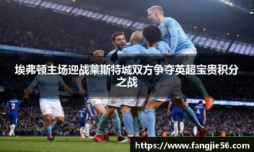 埃弗顿主场迎战莱斯特城双方争夺英超宝贵积分之战